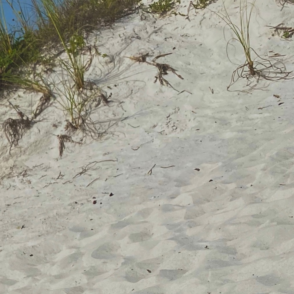 Meet your Posher, Hayley